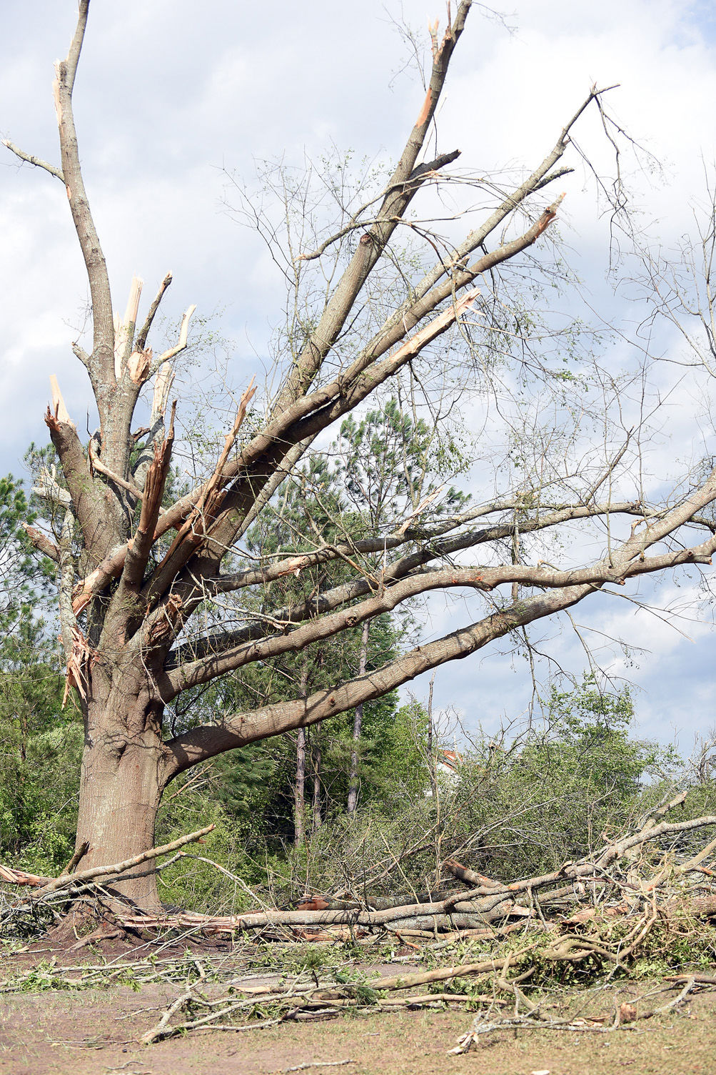 Tornado damages Eufaula